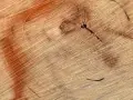 Przekrój drewna z widocznymi słojami i pomarańczową plamą, sugerującą domowe sposoby na rozjaśnianie drewna.